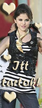 sw116kj.jpg